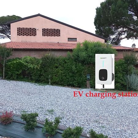 Agriturismo Buon Riposo - Country Resort In The Heart Of Tuscany San Giovanni a Corazzano Exteriér fotografie