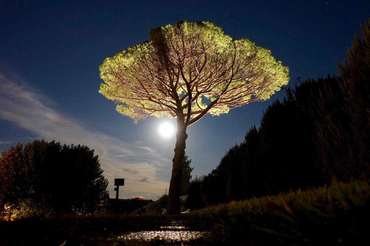 Agriturismo Buon Riposo - Country Resort In The Heart Of Tuscany San Giovanni a Corazzano Exteriér fotografie