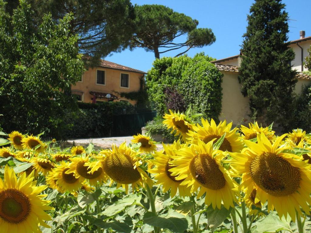 Agriturismo Buon Riposo - Country Resort In The Heart Of Tuscany San Giovanni a Corazzano Exteriér fotografie